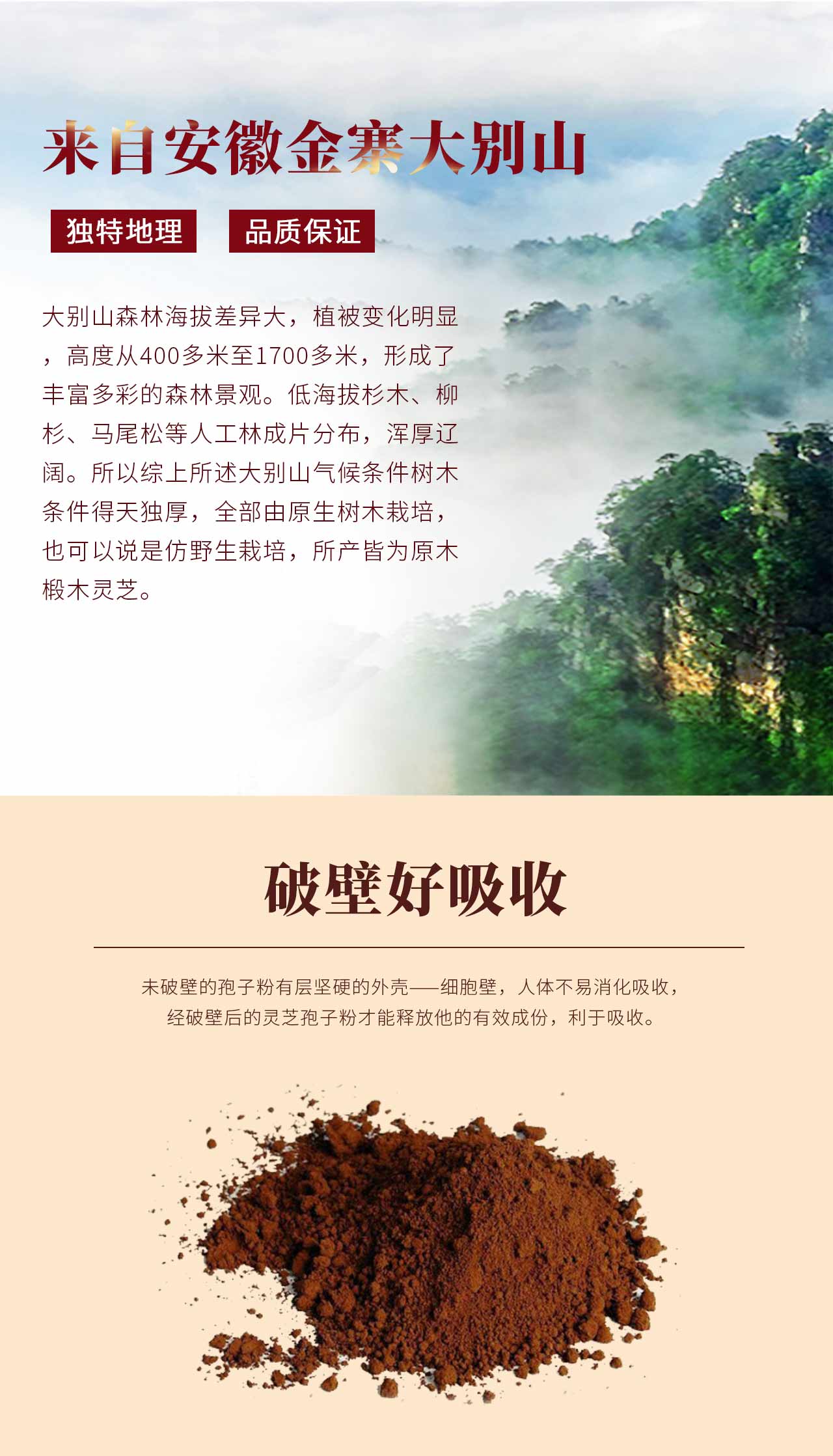 菩光破壁灵芝孢子粉